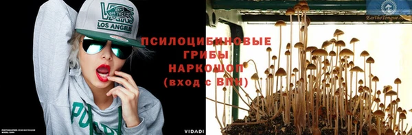 бошки Краснотурьинск