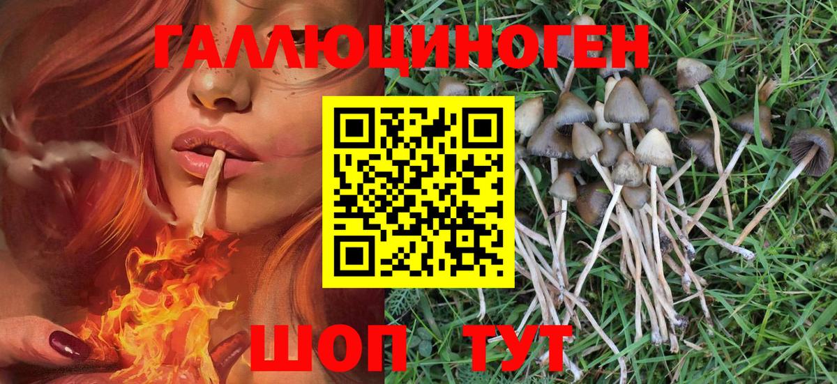 Галлюциногенные грибы мицелий Беслан