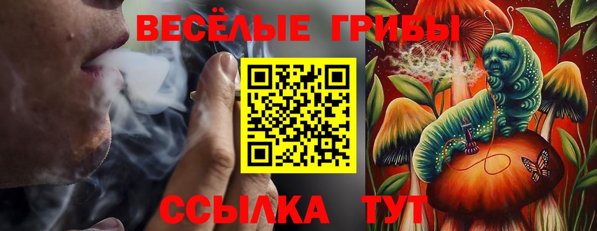 Беслан  Псилоцибиновые грибы ЛСД  Вход с VPN 